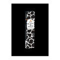 VANDANAM Black & White Essentials